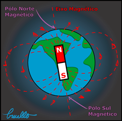 Perspicaz perro comentario MAGNETISMO